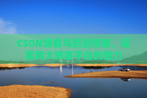 CSDN博客与新浪博客,探索两大博客平台的魅力